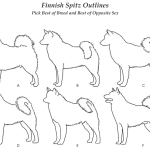 Finnish Spitz – Breed Priorities