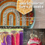 Enrichment toys & mats